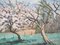 Paul-Émile Pissarro, Apple Tree in Blossom and Dead Apple Tree, Mid-20th Century, Oil on Canvas, Image 3