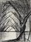 Bernard Buffet, Allée d'arbres, 1959, acquaforte, Immagine 1