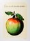 D'après René Magritte, This Is Not an Apple, Lithographie 1