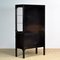 Vintage Glass and Iron Medical Cabinet, 1970s 11