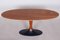 Mid-Century Czech Rosewood Dining Table with Cast Iron Base, 1950s 4