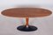 Mid-Century Czech Rosewood Dining Table with Cast Iron Base, 1950s, Image 4