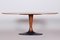 Mid-Century Czech Rosewood Dining Table with Cast Iron Base, 1950s 3