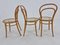 Bentwood Nr. 14 Chairs by Michael Thonet, 1950s, Set of 3 8
