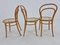 legno curvato nr. Sedie da 14 di Michael Thonet, anni '50, set di 3, Immagine 8