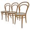 Bentwood Nr. 14 Chairs by Michael Thonet, 1950s, Set of 3 1