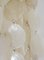 Mid-Century Modern Sea Shell Wall Sconces, Set of 2, Image 6