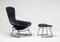 Bird Lounge Chair and Ottoman by Harry Bertoia for Knoll International, Set of 2 1