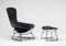 Bird Lounge Chair and Ottoman by Harry Bertoia for Knoll International, Set of 2, Image 1