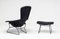 Bird Lounge Chair and Ottoman by Harry Bertoia for Knoll International, Set of 2 4