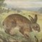 Vintage Mural Rollable Animal Wall Chart Rabbit Bunny Poster, Image 2
