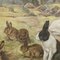 Vintage Mural Rollable Animal Wall Chart Rabbit Bunny Poster 3