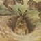 Vintage Mural Rollable Animal Wall Chart Rabbit Bunny Poster 4