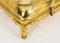 19th Century Ormolu Pannelled Jewellery Casket 13