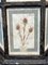 Vintage Herbarium in Glazed Wooden Frames, Florence, 1941 7