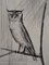 Bernard Buffet, The Owl, 20. Jahrhundert, Original Radierung 2