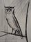 Bernard Buffet, The Owl, 20th Century, Original Etching, Image 2