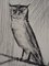 Bernard Buffet, The Owl, 20th Century, Acquaforte, Immagine 1