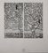 After Gustav Klimt, Eine Nachlese Folio: Der Lebensbaum II, 1931, Collotype on Wove Paper 3