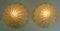Sconces with Petal-Shaped Glass Shades, 1970s, Set of 2 9