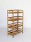 Vintage Bamboo and Rattan Shelving Unit, 1950s 2
