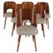 Mahogany Dining Chairs from Oswald Haerdtl, Czechoslovakia, 1960s, Set of 6 1