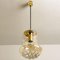 Smoked Brown Glass & Brass Pendant Lights from Peill & Putzler, 1960s, Set of 2 5