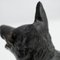 Figura de perro de yeso, años 50, Imagen 15