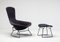 Chaise Bird et Ottomane par Harry Bertoia pour Knoll International, Set de 2 2