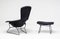 Bird Chair and Ottoman by Harry Bertoia for Knoll International, Set of 2 4