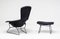 Chaise Bird et Ottomane par Harry Bertoia pour Knoll International, Set de 2 4