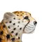 Porcelain Leopard Sculpture, Italy, 1970s, Image 3
