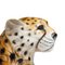 Porzellan Leopard Skulptur, Italien, 1970er 3