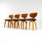 Dutch Birch Plywood TB05 / SB02 Dining Set by Cees Braakman for Pastoe, 1950s, Image 10