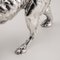 Estatua de perro perdiguero bañada en plata, años 20, Imagen 14