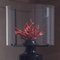 Coralli Touch Lampe in Schwarz und Rot von Les First 4