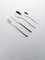 Shiny Food Collection Cutlery Pieces, Set of 24 2