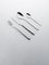Shiny Food Collection Cutlery Pieces, Set of 24 1