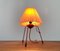 Lampe de Bureau Type 1624 Mid-Century par Josef Hurka pour Napako, 1960s 8