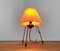 Mid-Century Type 1624 Table Lamp by Josef Hurka for Napako, 1960s 8