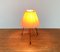 Mid-Century Type 1624 Table Lamp by Josef Hurka for Napako, 1960s 13