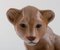 Cucciolo di leone in porcellana di B & G / Bing & Grondahl, Immagine 4