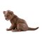 Porcelain Sitting Lion Cub from B & G / Bing & Grondahl, Image 1