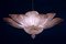 Pink Amethyst Murano Glass Leave Ceiling Light 11