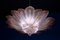 Pink Amethyst Murano Glass Leave Ceiling Light 12
