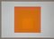 Josef Albers, Homage to the Square, 1971, Original Screen Prints, Set of 2 3