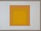 Josef Albers, Homage to the Square, 1971, Original Screen Prints, Set of 2 4