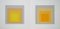 Josef Albers, Homage to the Square, 1973, Original Screen Prints, Set of 2 1