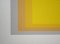 Josef Albers, Homage to the Square, 1973, Original Siebdruck, 2er Set 9