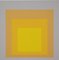 Josef Albers, Homage to the Square, 1973, Original Siebdruck, 2er Set 7